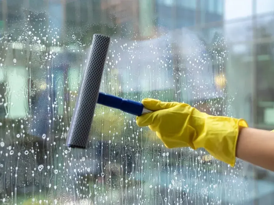 High-Reach Pure Water Window Cleaning