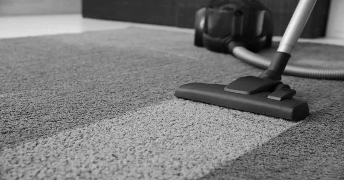 Carpet Care and Professional Window Cleaning in London